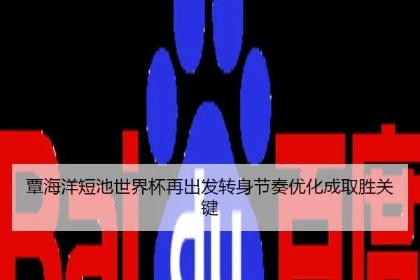覃海洋短池世界杯再出发转身节奏优化成取胜关键
